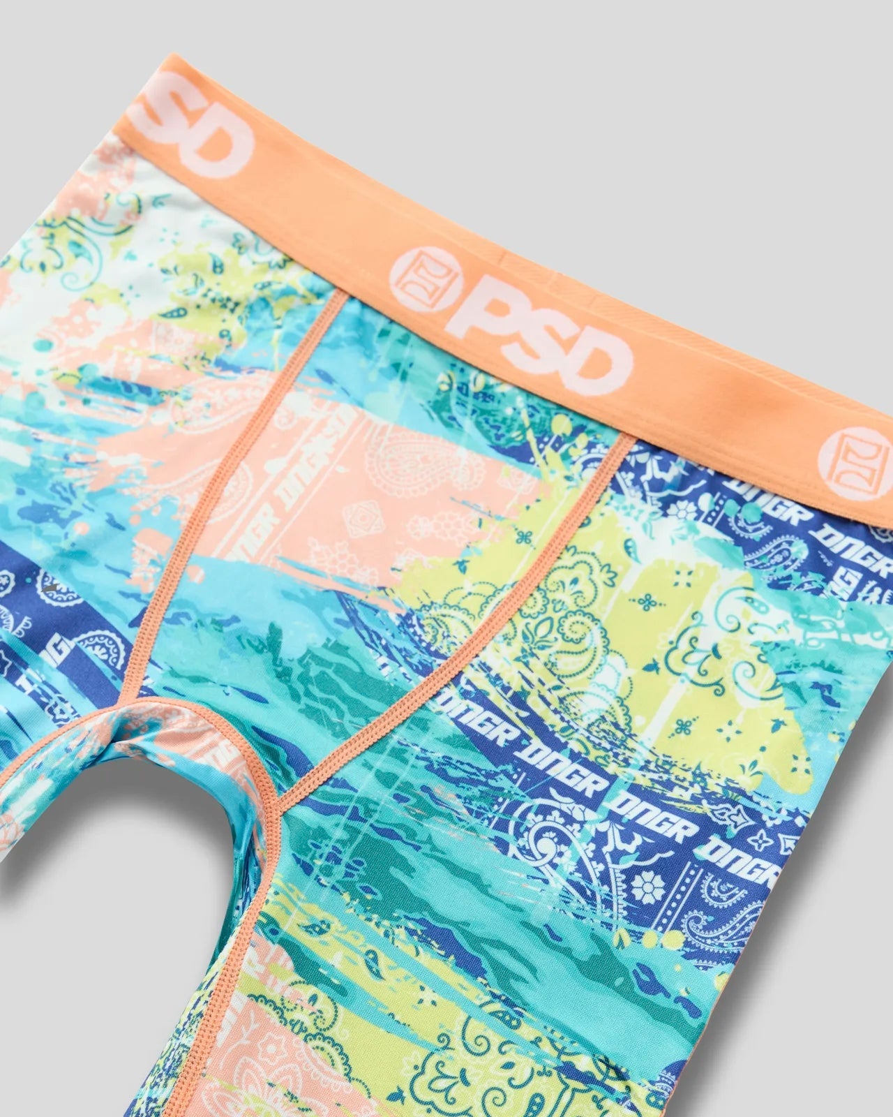 Haiden Deegan - Paisley - Image 3